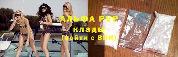 apvp Иннополис