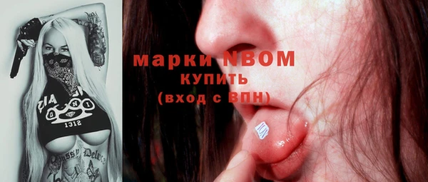 apvp Иннополис