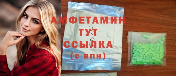 apvp Иннополис