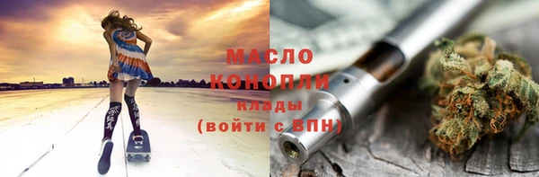 гидра Инсар