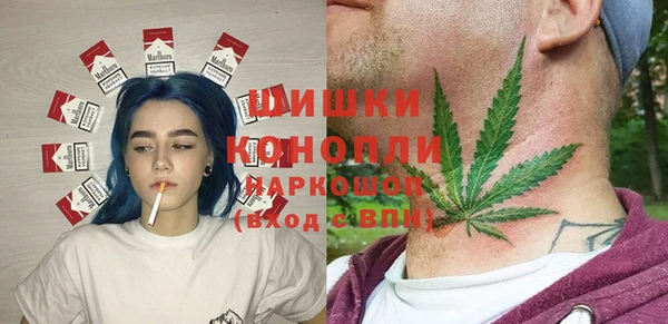 apvp Иннополис
