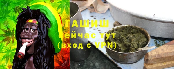 apvp Иннополис