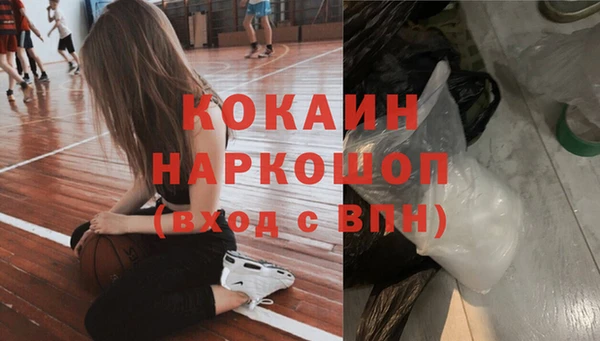 apvp Иннополис