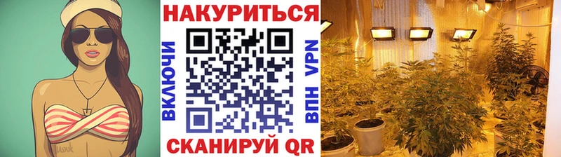 купить наркотики цена  Нестеровская  Бошки марихуана конопля 